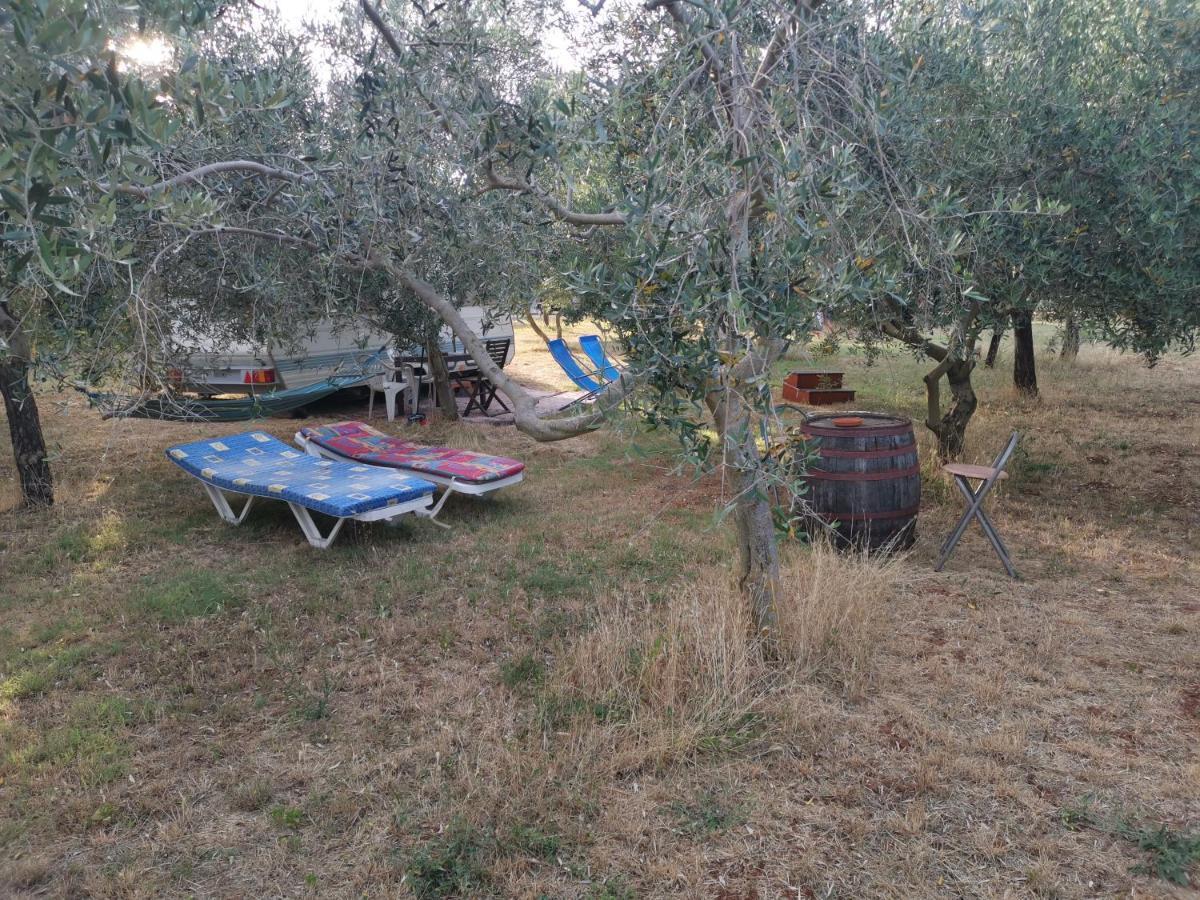 Camping Volme 班约勒 外观 照片